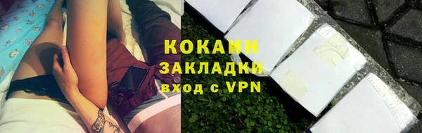 дмт Богородицк
