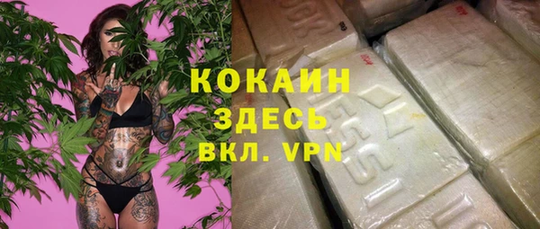 apvp Белокуриха