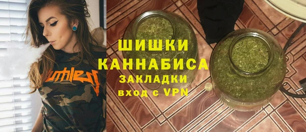 дмт Богородицк